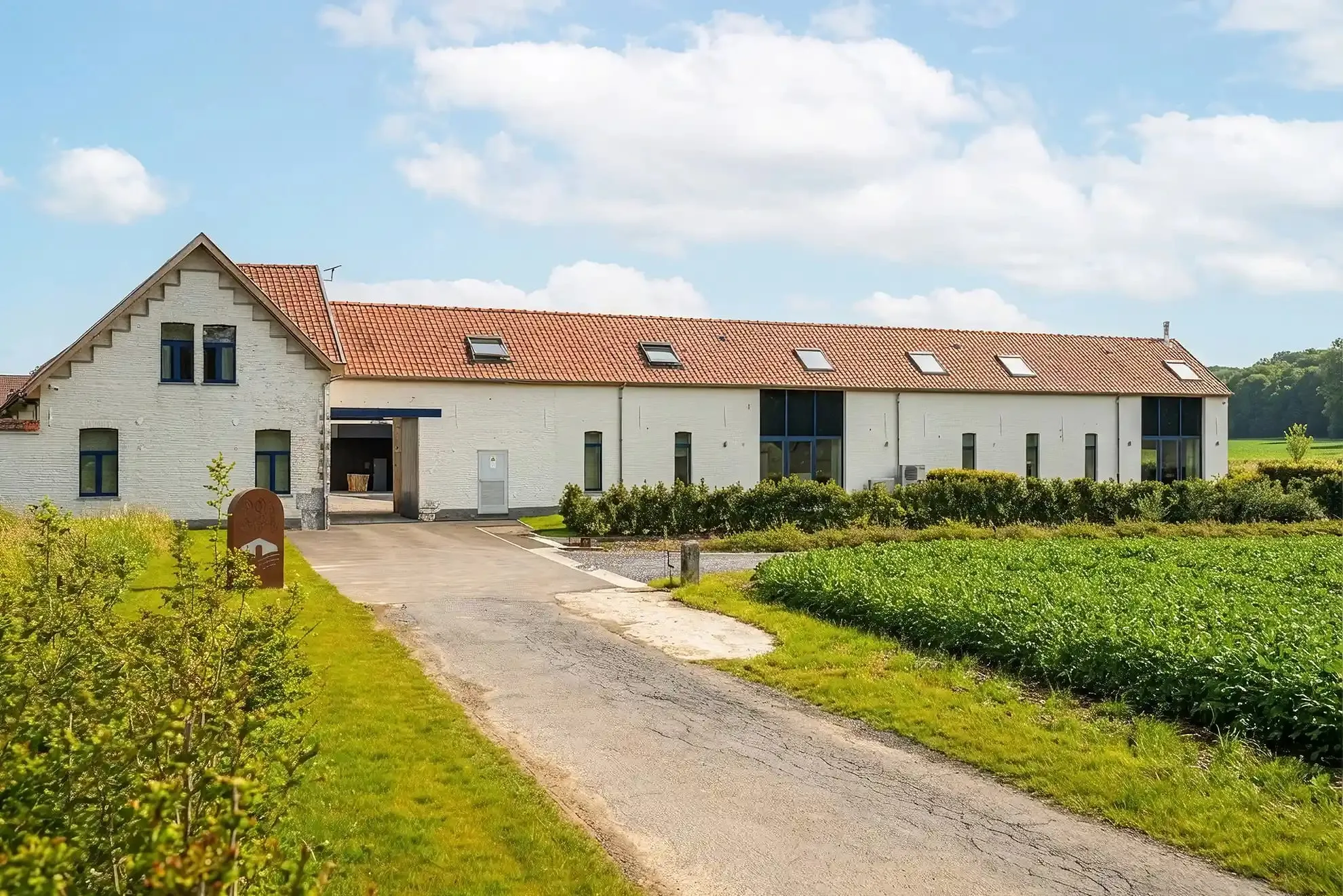Allée d’accès à la ferme entre les champs